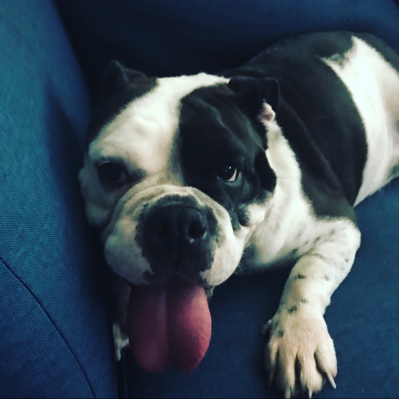 Meet your Posher, Traci - Picture 1 of 1